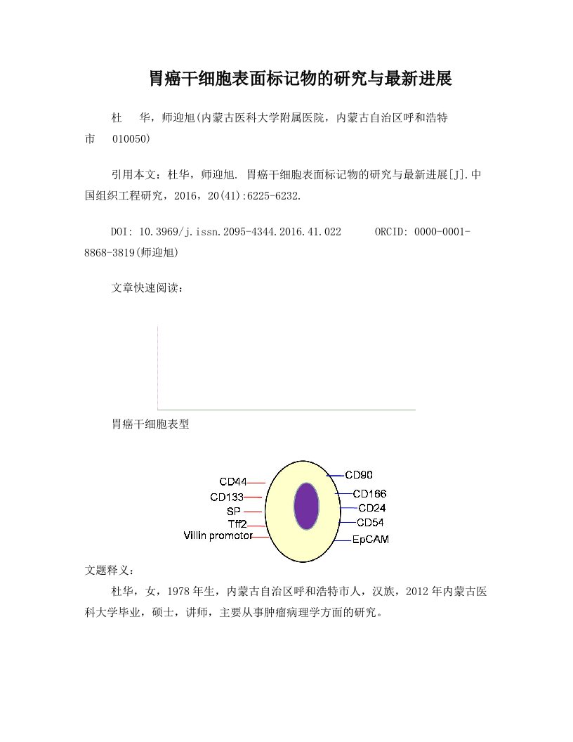 胃癌干细胞表面标记物的研究与最新进展