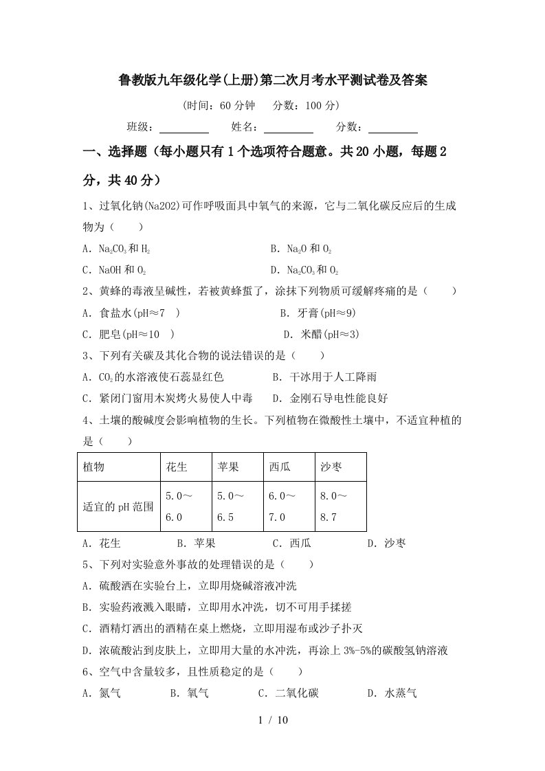 鲁教版九年级化学上册第二次月考水平测试卷及答案