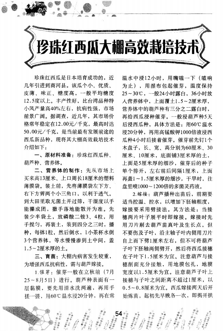 珍珠红西瓜大棚高效栽培技术.pdf