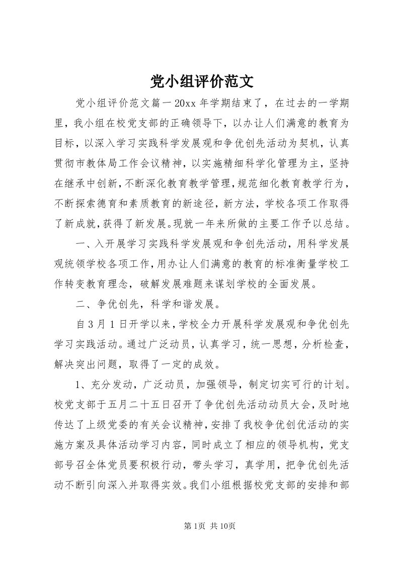 党小组评价范文