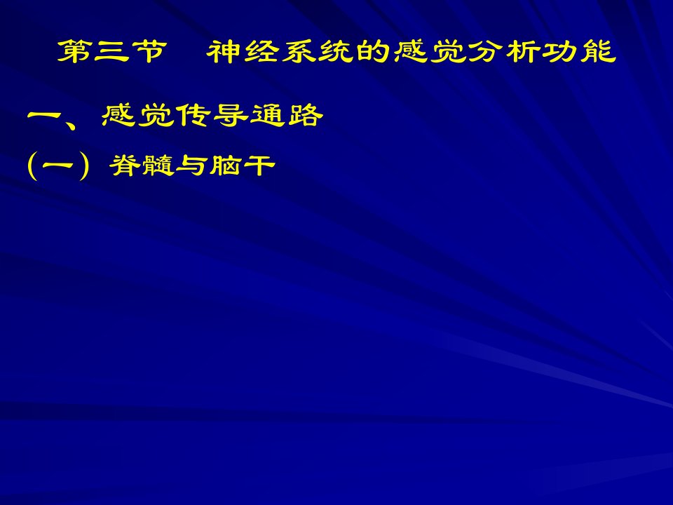 三节神经系统的感觉分析功能