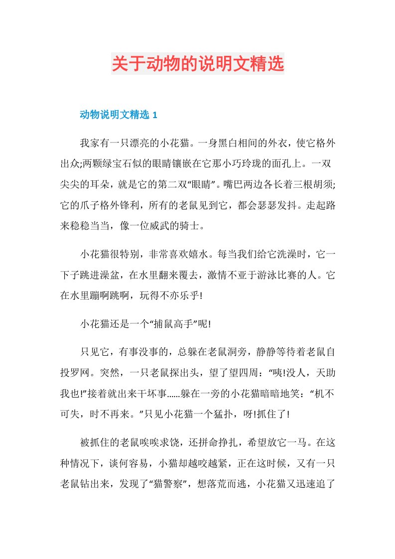 关于动物的说明文精选