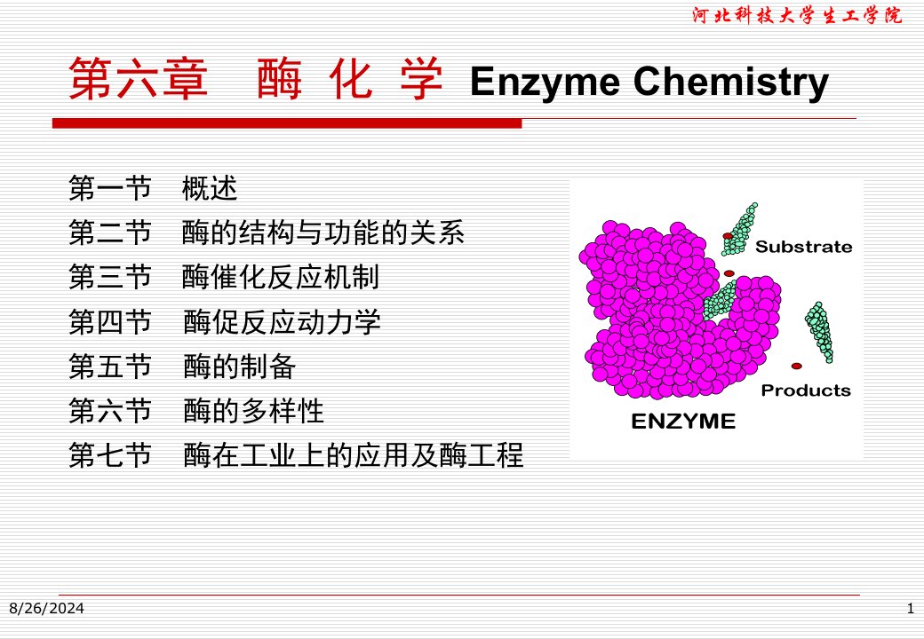 酶化学--ppt课件