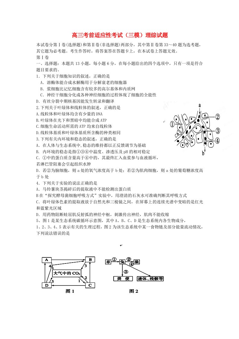 辽宁省大连市第三中学高三理综考前适应性考试试题（三模）（无答案）