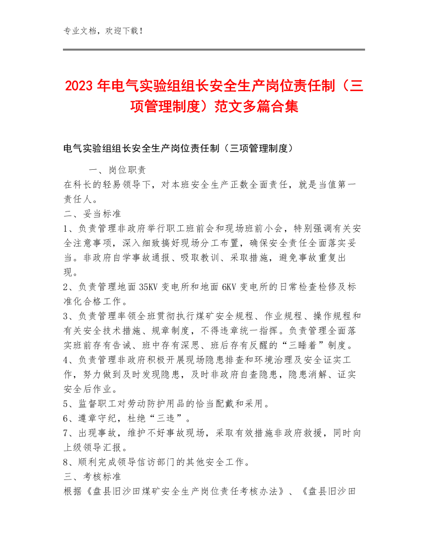 2023年电气实验组组长安全生产岗位责任制（三项管理制度）范文多篇合集