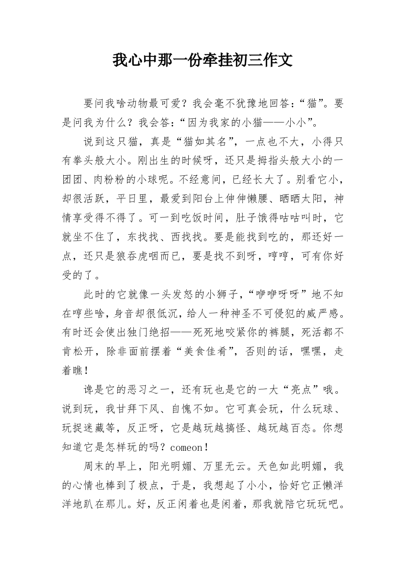 我心中那一份牵挂初三作文