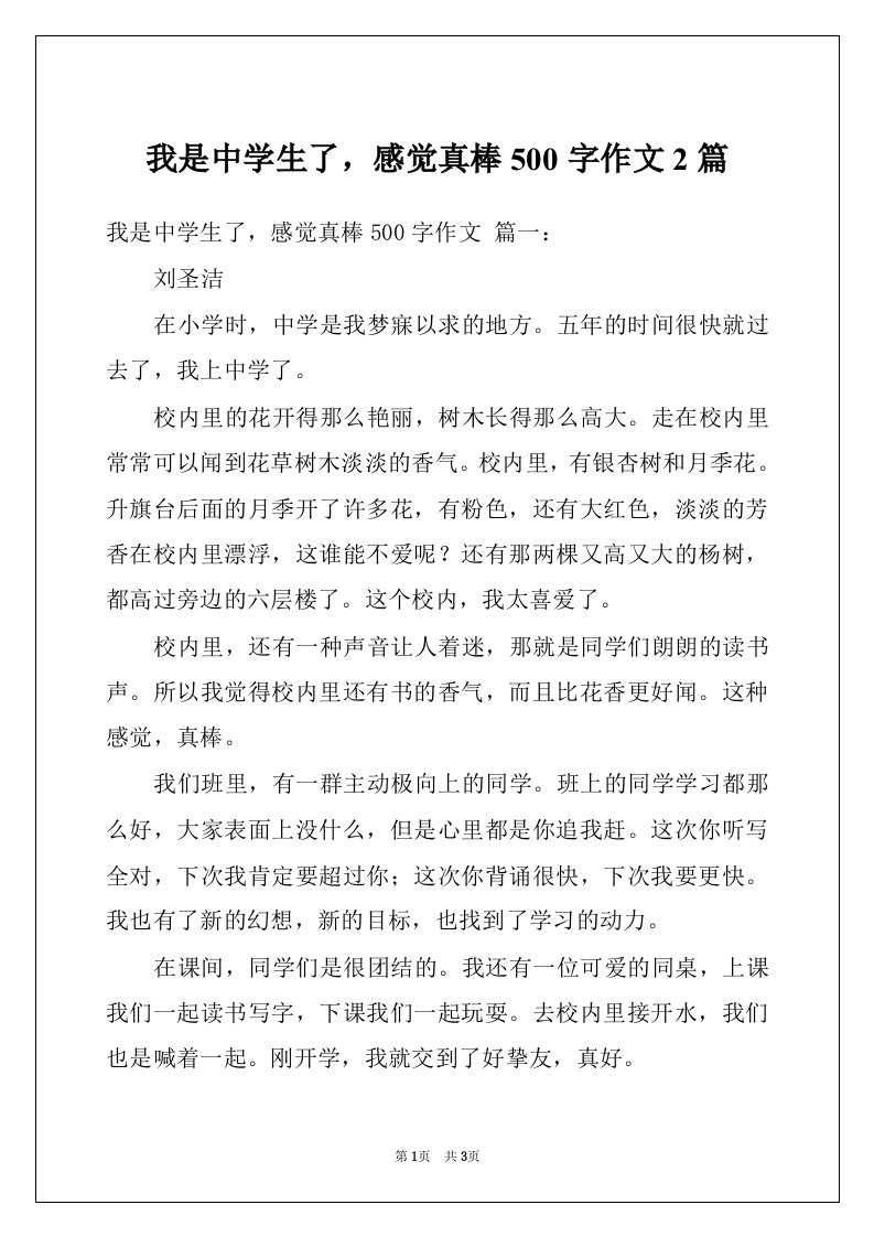 我是中学生了，感觉真棒500字作文2篇