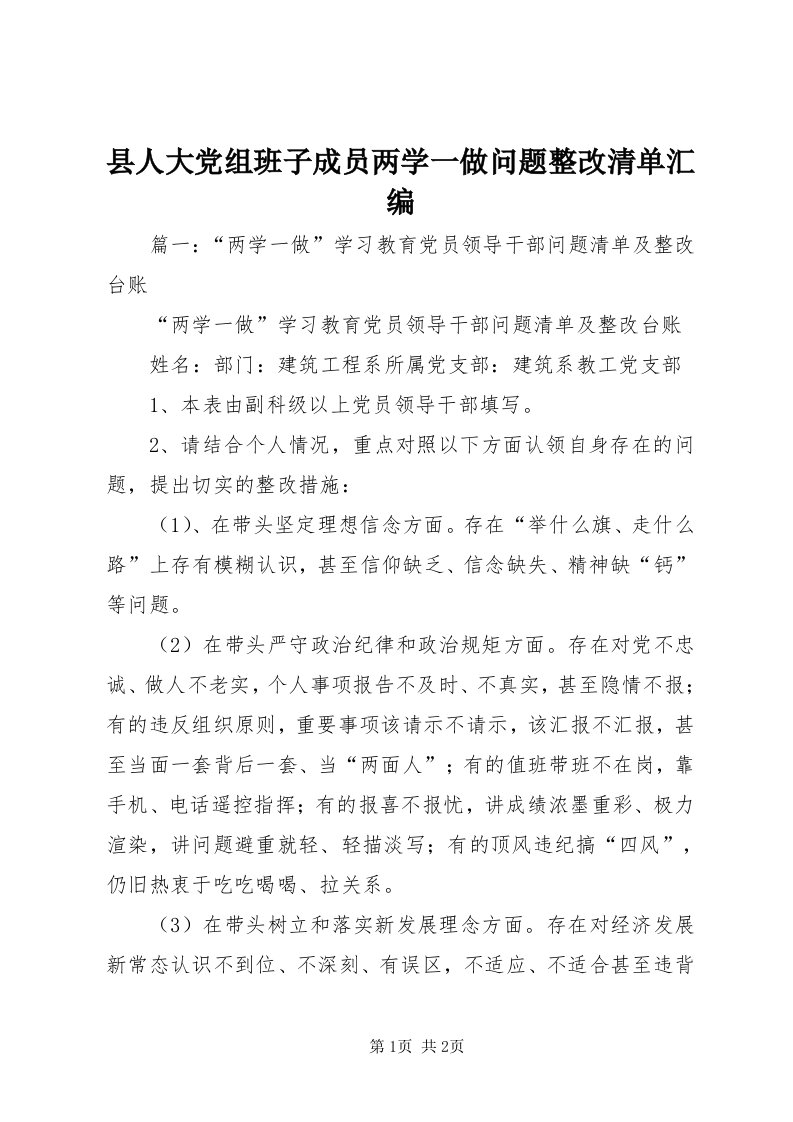 6县人大党组班子成员两学一做问题整改清单汇编