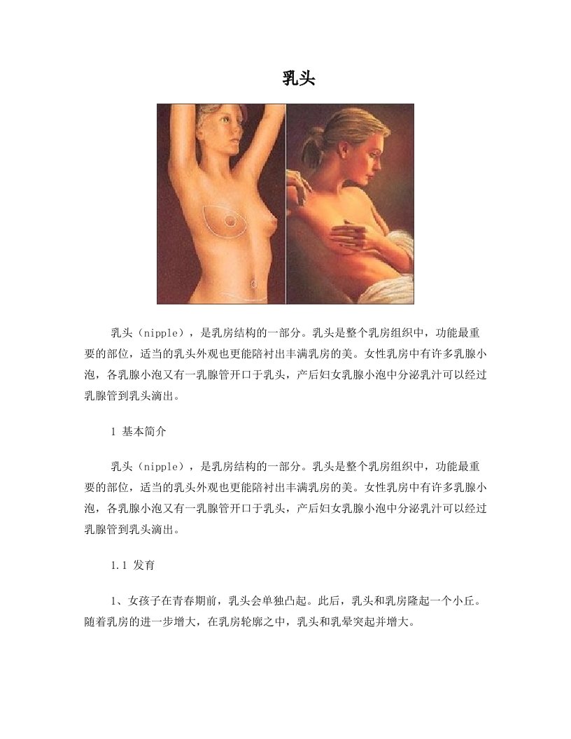 女人的乳头