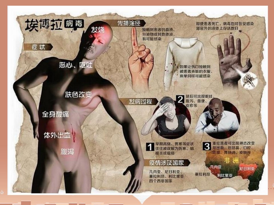 人教初中生物八上《第5单元