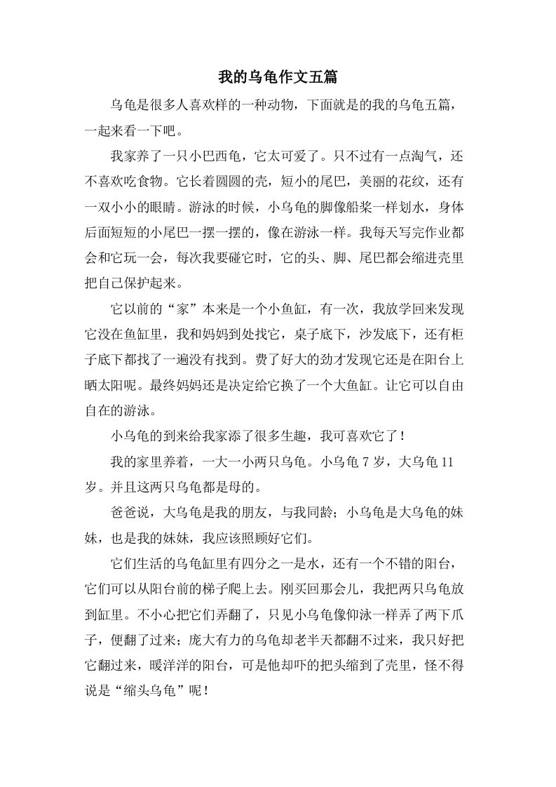 我的乌龟作文五篇