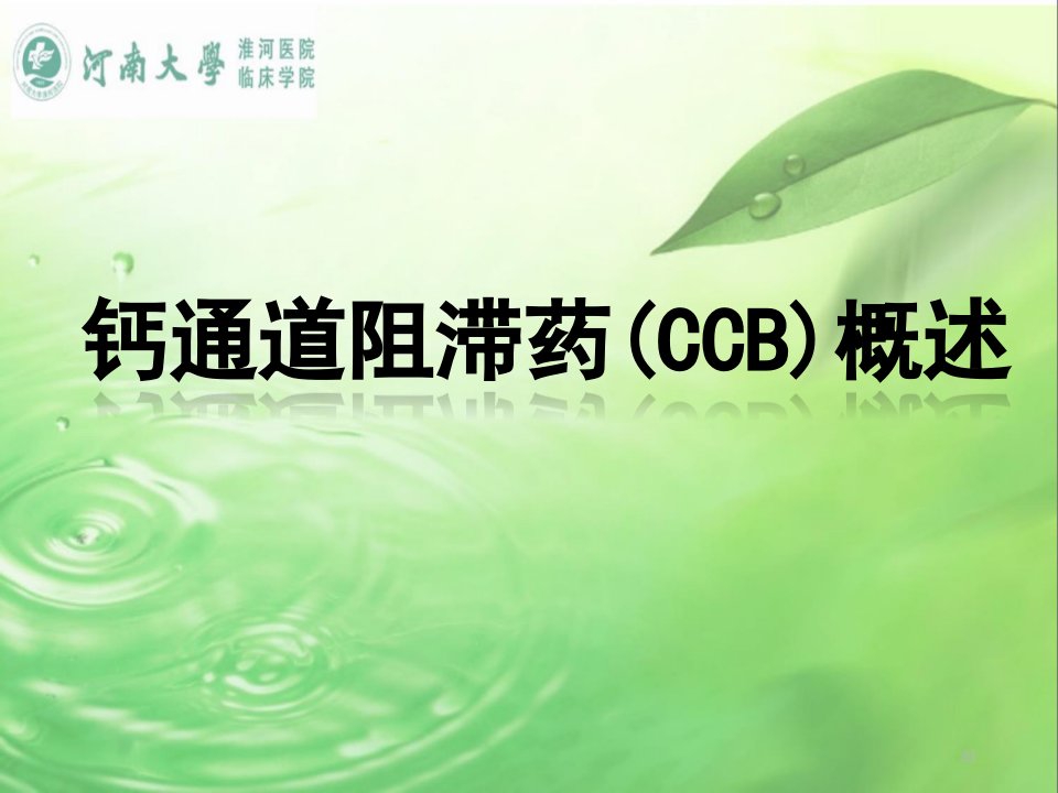 钙通道阻滞剂CCB概述