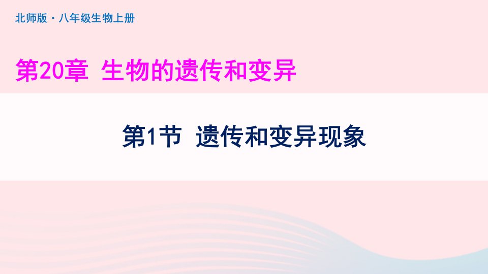 2023八年级生物上册第6单元生命的延续第20章生物的遗传和变异第1节遗传和变异现象上课课件新版北师大版