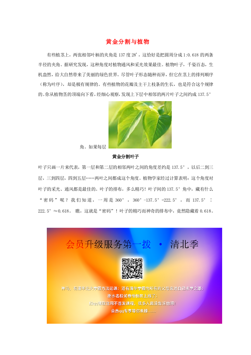 六年级数学上册