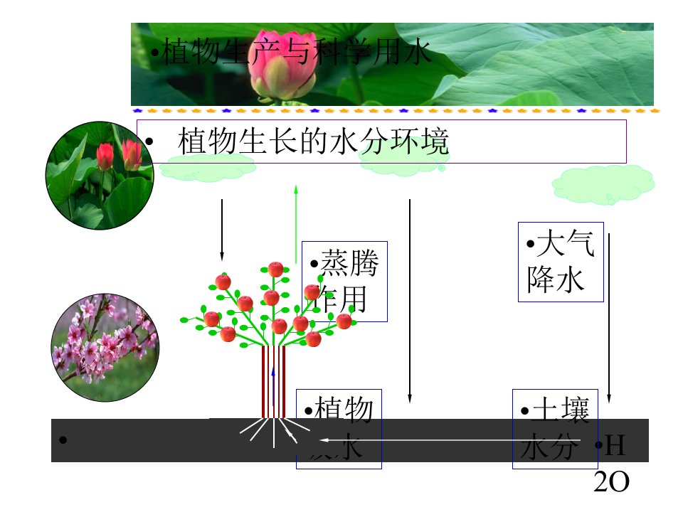 植物生产与科学用水