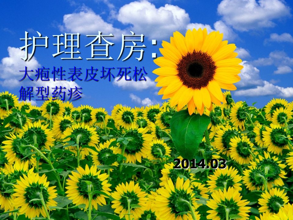 大疱性表皮坏死松解型药疹护理查房