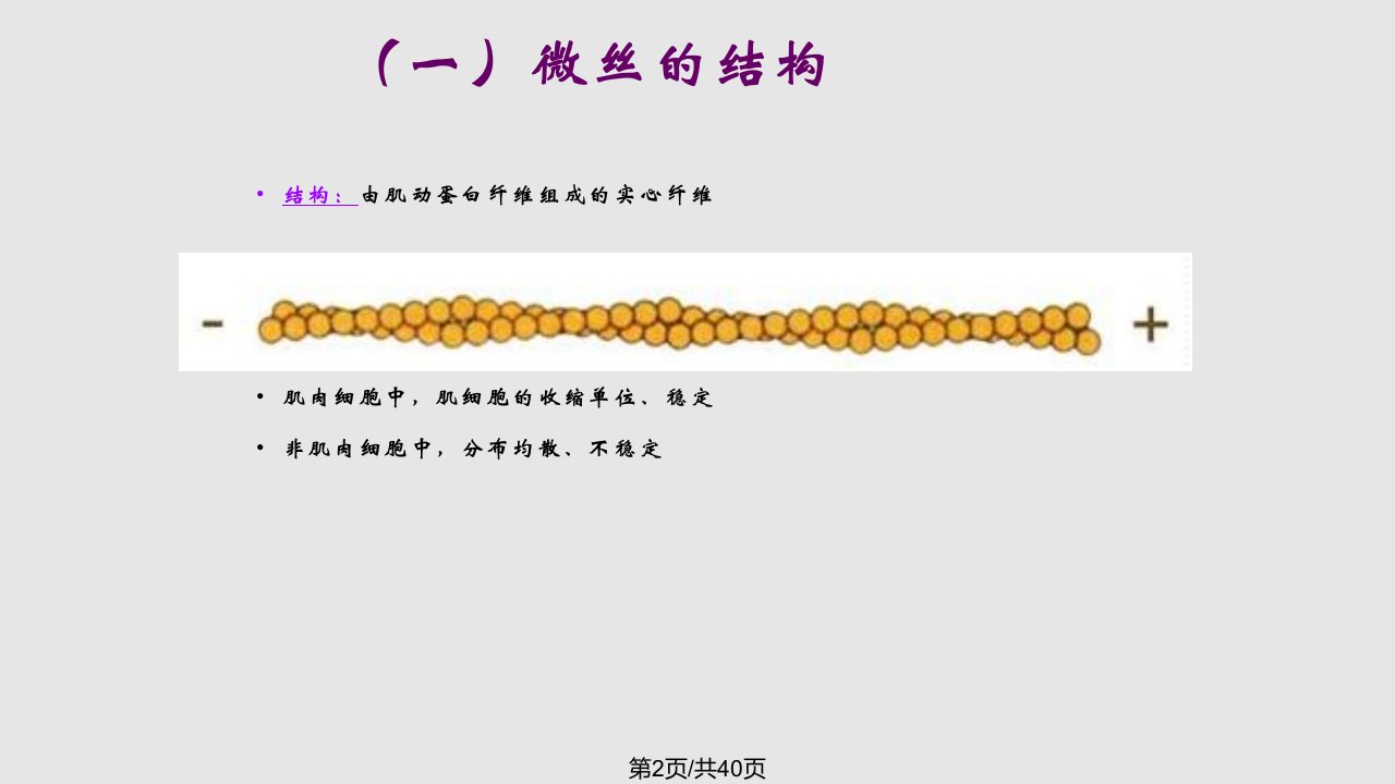 医学细胞生物学细胞骨架