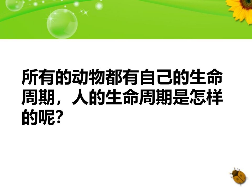 我们的生命周期动物的生命周期PPT课件2