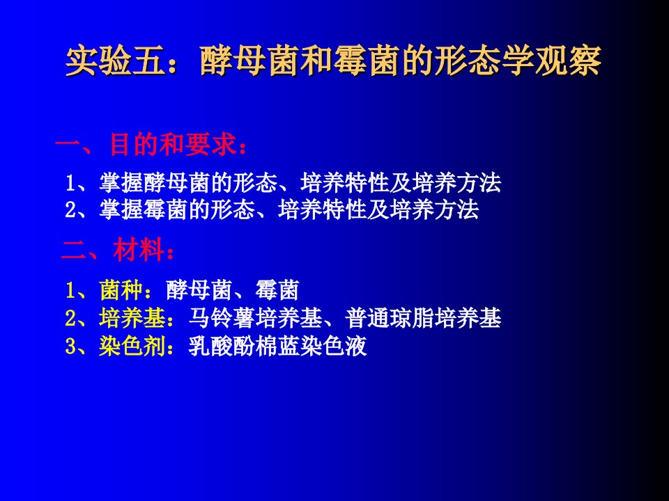 酵母菌和霉菌的形态学观察