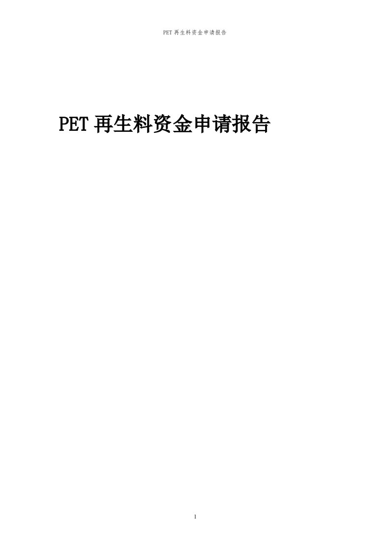 2024年PET再生料项目资金申请报告代可行性研究报告