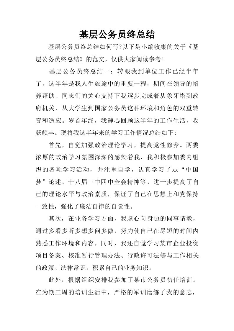 基层公务员终总结.doc