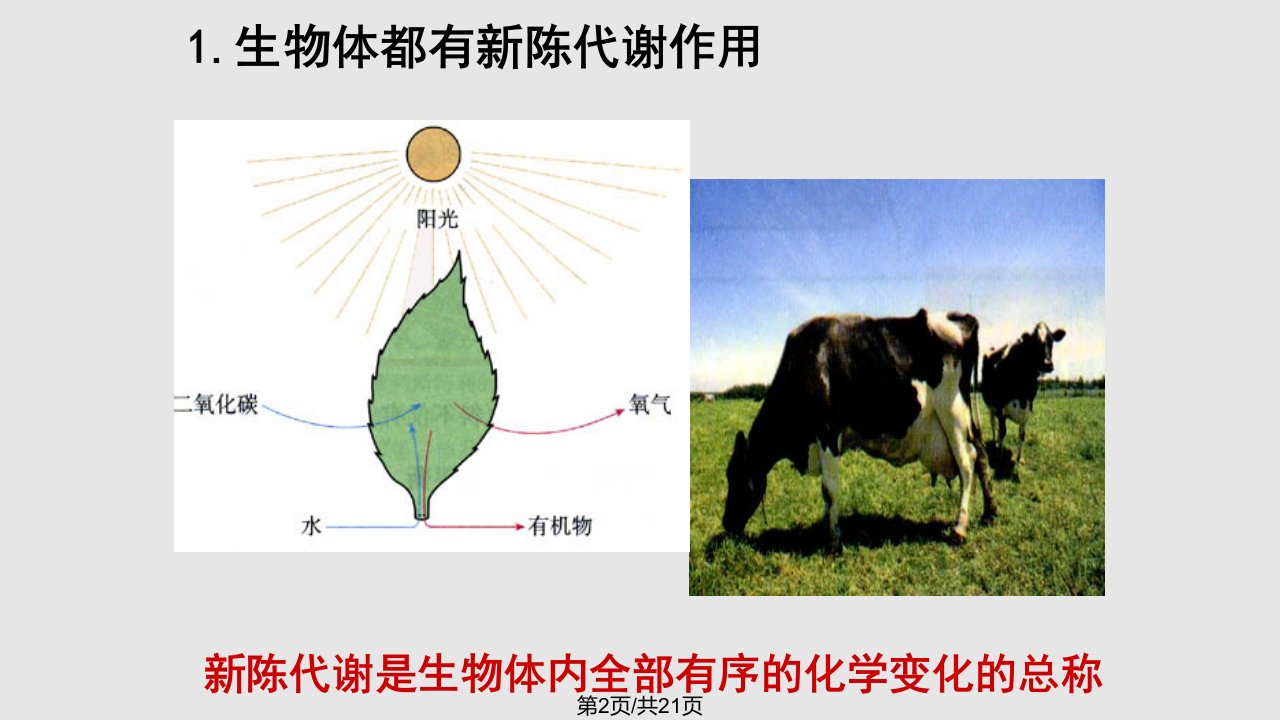 绪论探索生物大分子奥秘