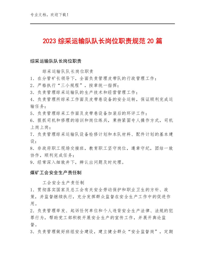 2023综采运输队队长岗位职责规范20篇