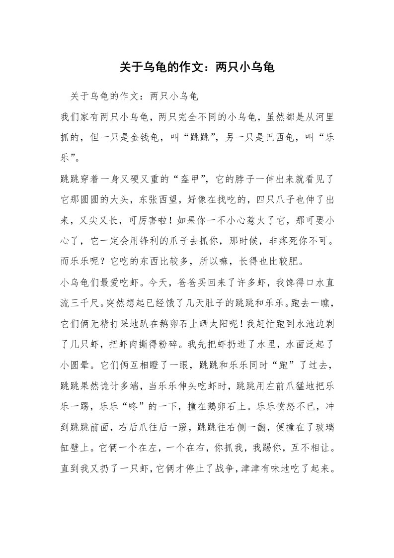 关于乌龟的作文：两只小乌龟