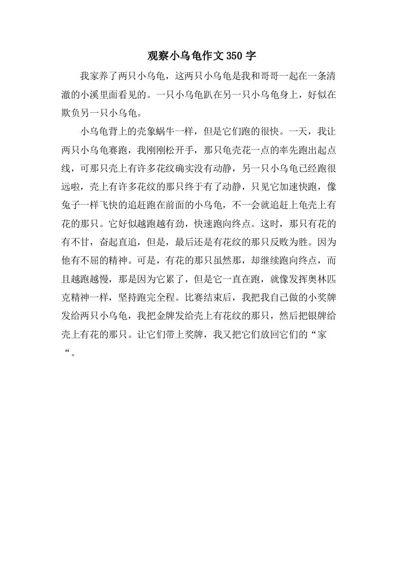 观察小乌龟作文350字