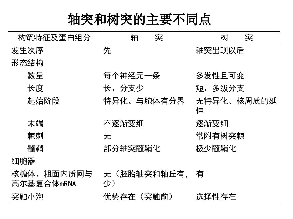 神经生物学总结