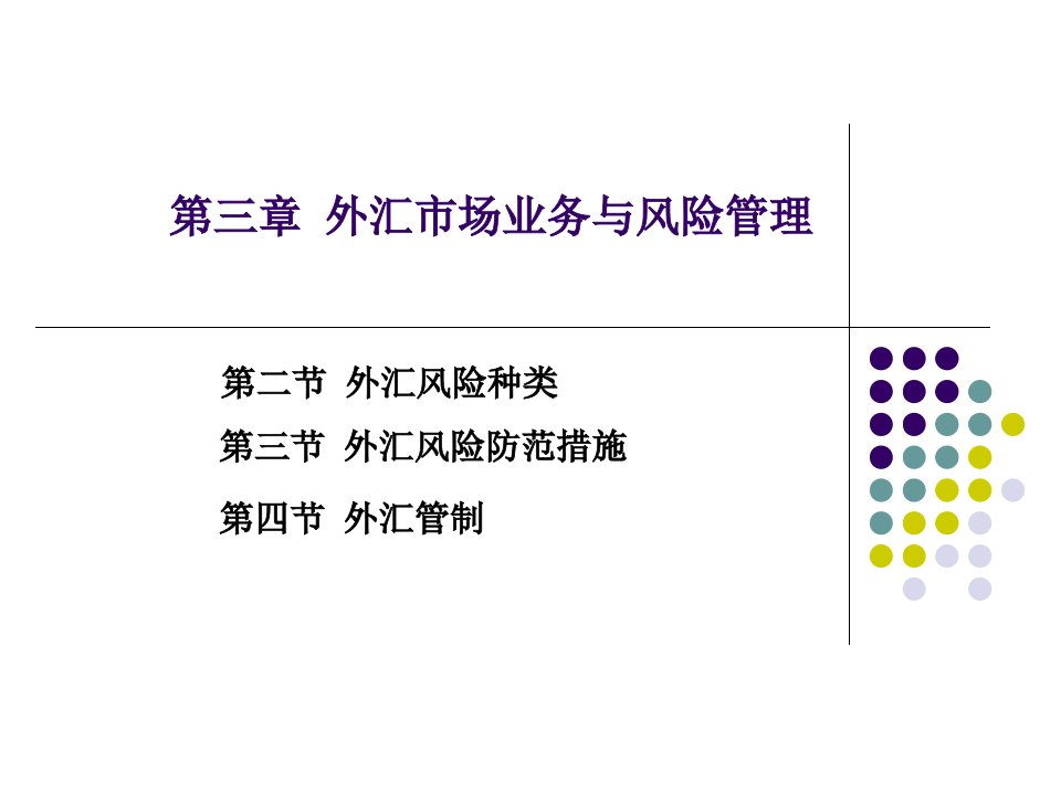 《外汇风险及其防范》PPT课件