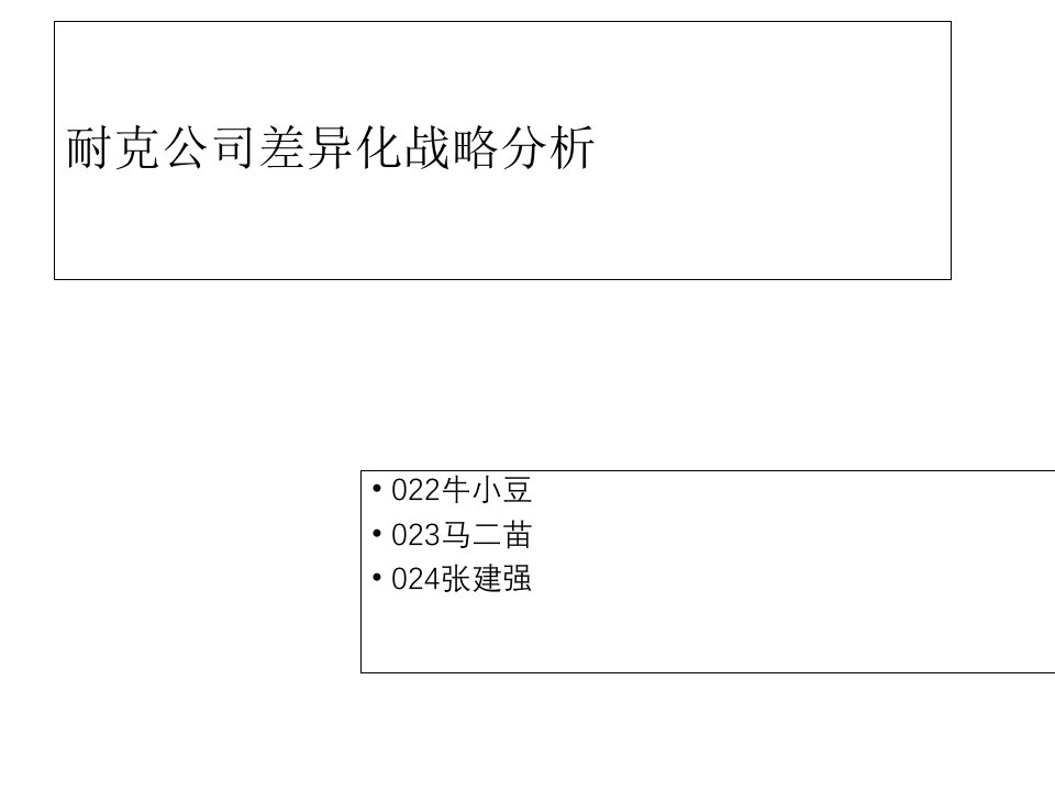 耐克公司差异化战略分析