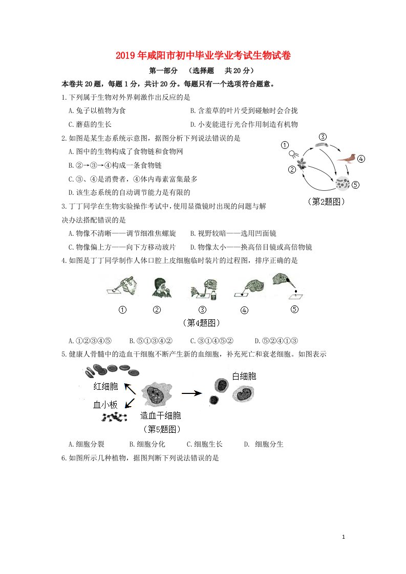 陕西省咸阳市2019年中考生物真题试题