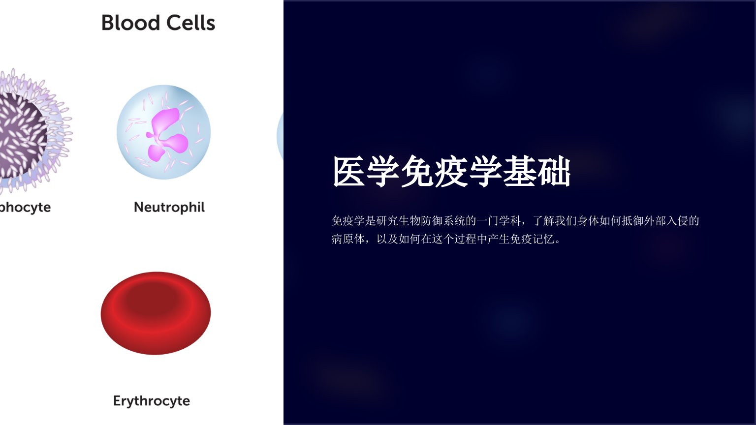 《医学免疫学基础》课件