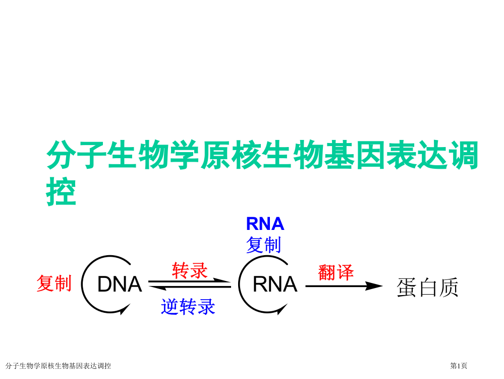 分子生物学原核生物基因表达调控