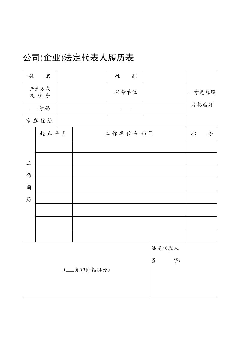 公司(企业)法定代表人履历表