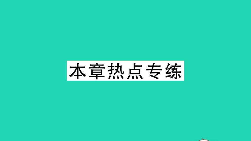 通用版八年级数学下册第五章分式与分式方程本章热点专练作业课件新版北师大版