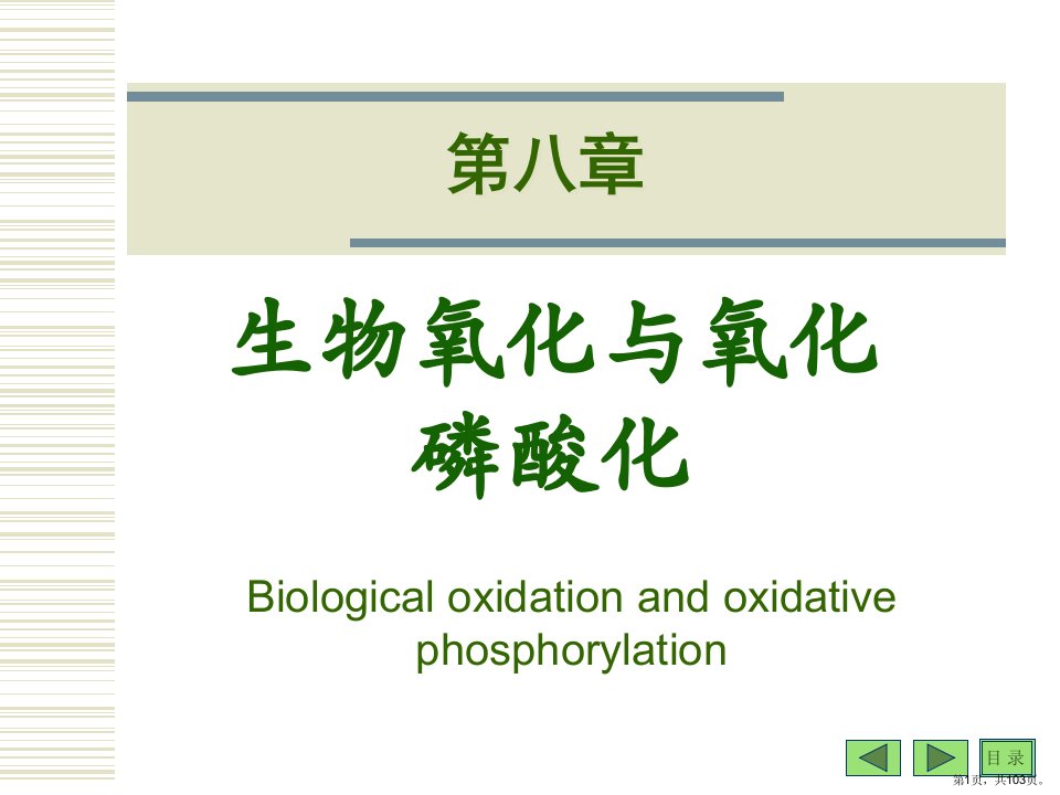 09第八章生物氧化与氧化磷酸化课件