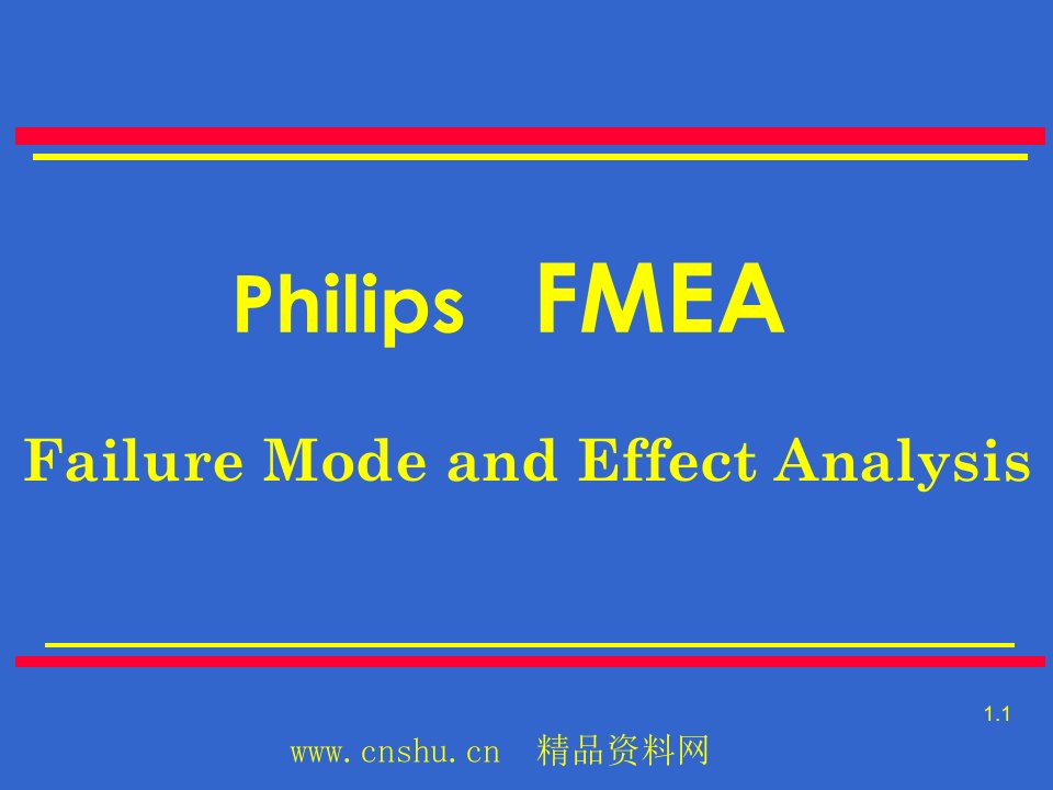 PHILIPS-FMEA