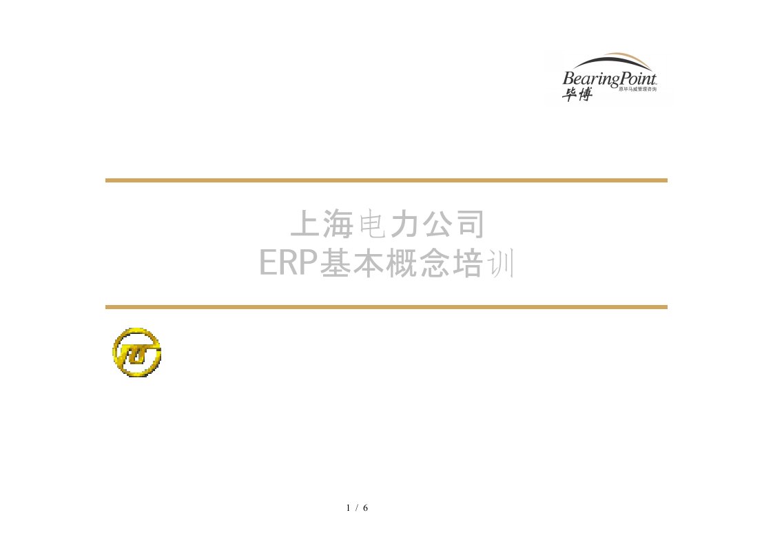 ERP基本概念培训上海电力公司