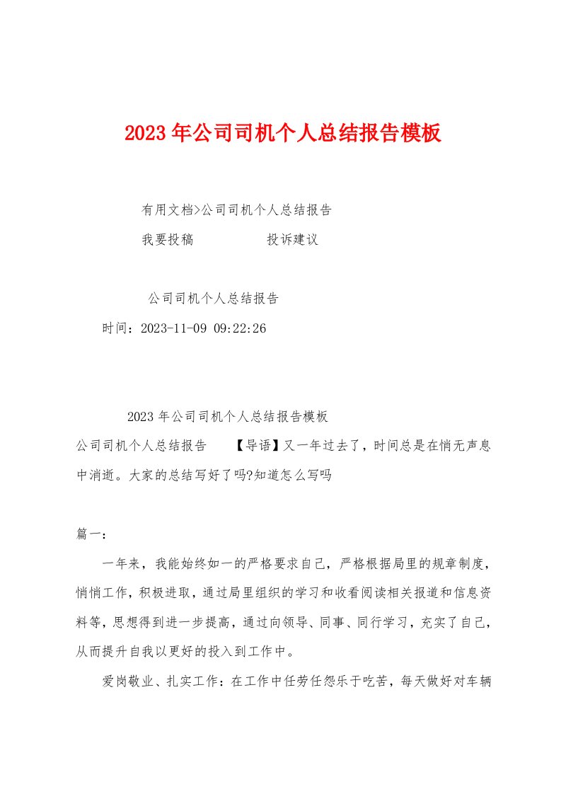 2023年公司司机个人总结报告模板