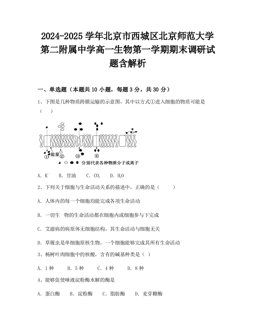 2024-2025学年北京市西城区北京师范大学第二附属中学高一生物第一学期期末调研试题含解析