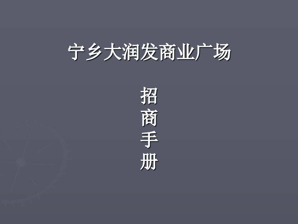 湖南长沙宁乡大润发商业广场招商手册