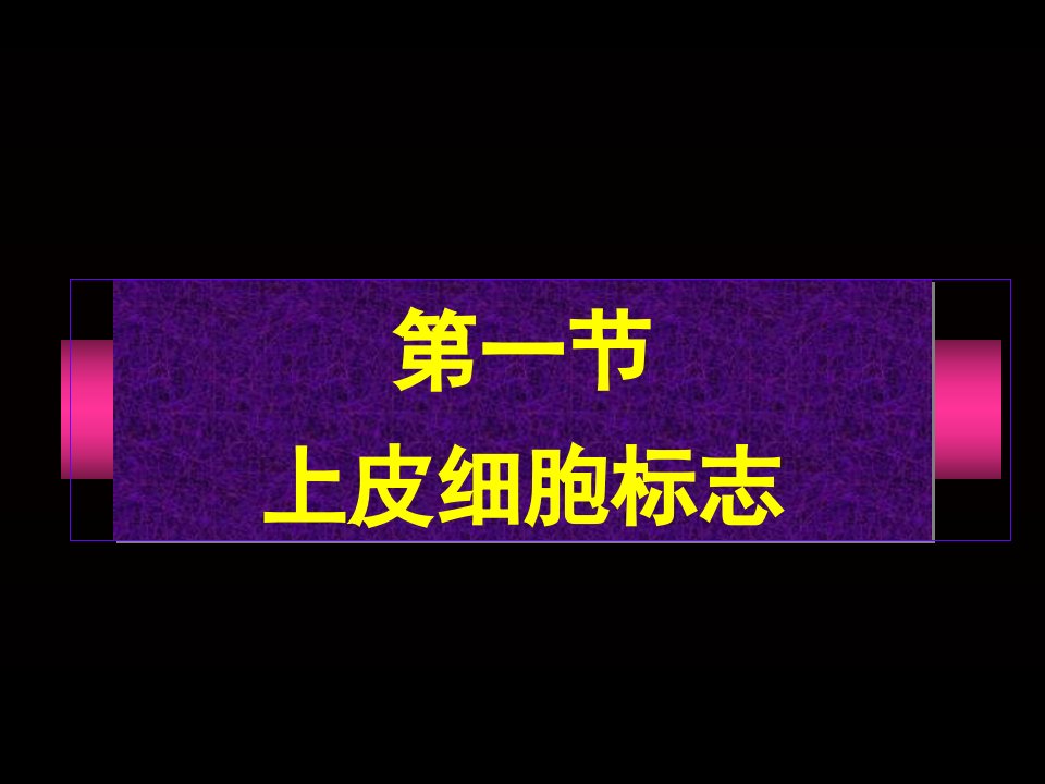 免疫组织化学常用抗体标记谱系长海医院病理科马大烈