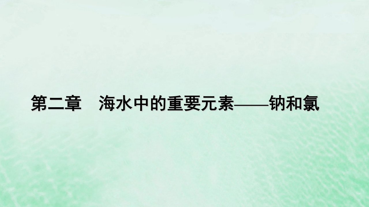 新教材适用2023_2024学年高中化学第2章海水中的重要元素__钠和氯阶段重点突破练4课件新人教版必修第一册