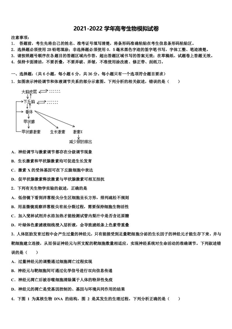 林芝2022年高三第三次模拟考试生物试卷含解析