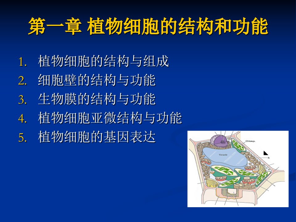 植物学课件第一章_植物细胞的结构和功能