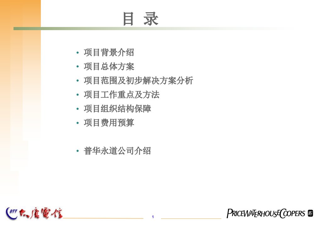 普华永道SAP系统实施项目建议书课件