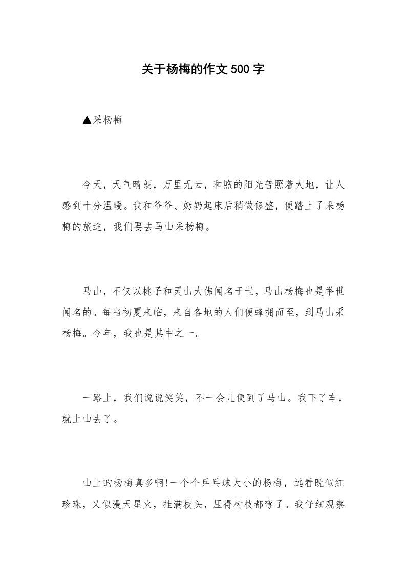 关于杨梅的作文500字