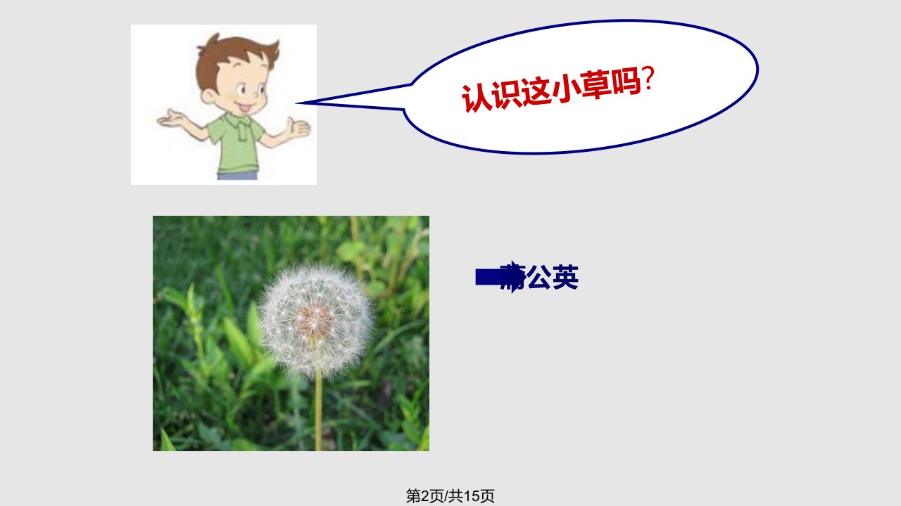 浅绿深灰色学习